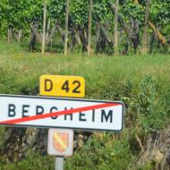 Bergheim im Elsass - Bild 6 - OCRE Elsass-Rundfahrt - Juni 2017