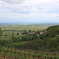 Pfalztour 2013 - Ausblick von  St. Annagut