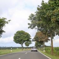 unterwegs in der Eifel -- OCRE - Saisonabschlussfahrt 2021 (12.9.2021)