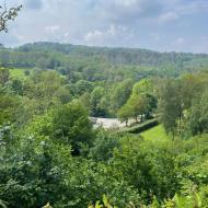 Besuch von Burg Reichenbach -Frühjahrsausfahrt 2024 (19.05.2024)