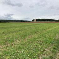 Bruder-Klaus-Feldkapelle in Wachendorff - Herbstausfahrt 2025 (21.09.2025)